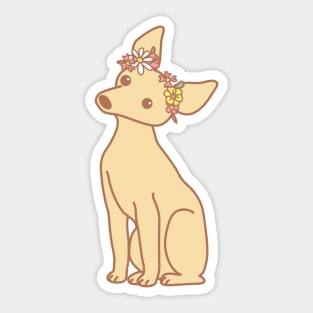 Miniature Pinscher Sticker